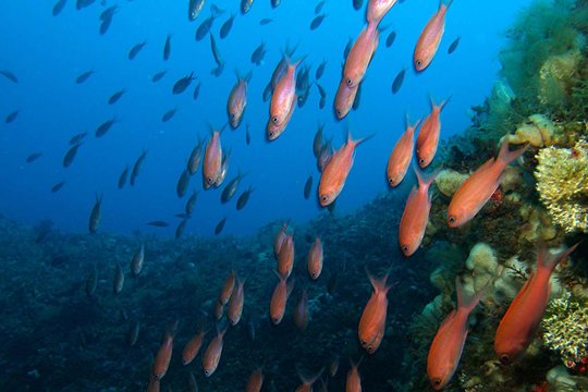 Tour image 6