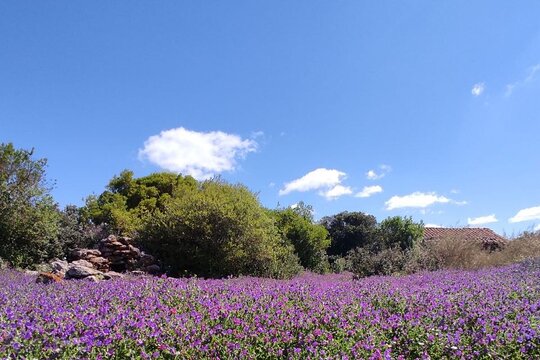 Tour image 9